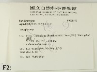 登錄號:F0025552藏品圖，第2張