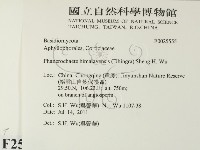 登錄號:F0025555藏品圖，第2張