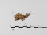 登錄號:F0025555藏品圖，第3張