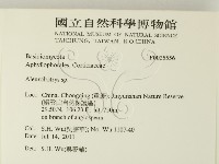 登錄號:F0025556藏品圖，第2張