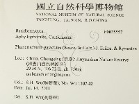 登錄號:F0025557藏品圖，第2張
