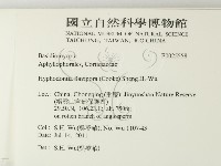 登錄號:F0025558藏品圖，第2張