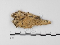 登錄號:F0025558藏品圖，第1張