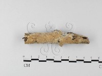 登錄號:F0025559藏品圖，第1張