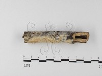 登錄號:F0025559藏品圖，第3張