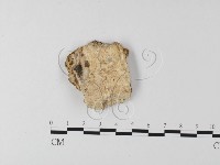 登錄號:F0025562藏品圖，第1張