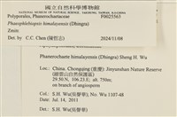 登錄號:F0025563藏品圖，第4張