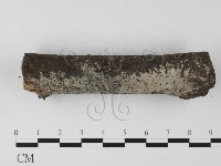 登錄號:F0025564藏品圖，第3張