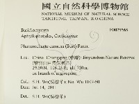 登錄號:F0025565藏品圖，第2張