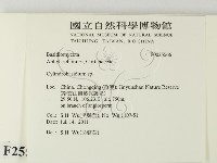 登錄號:F0025566藏品圖，第2張