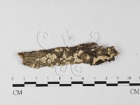 登錄號:F0025566藏品圖，第1張