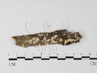 登錄號:F0025566藏品圖，第3張