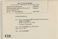 登錄號:F0025566藏品圖，第4張