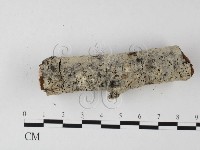 登錄號:F0025568藏品圖，第3張