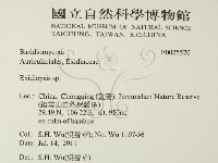 登錄號:F0025570藏品圖，第2張