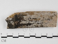 登錄號:F0025570藏品圖，第1張