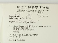 冇骨消絲齒菌藏品圖，第2張