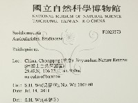 登錄號:F0025573藏品圖，第2張