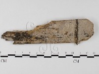 登錄號:F0025573藏品圖，第1張