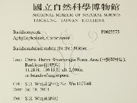 登錄號:F0025575藏品圖，第2張