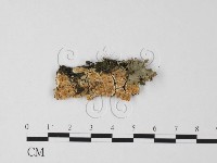 登錄號:F0025575藏品圖，第1張