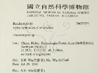 登錄號:F0025576藏品圖，第2張