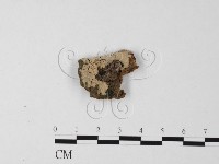 登錄號:F0025576藏品圖，第1張