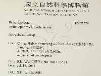 登錄號:F0025578藏品圖，第2張