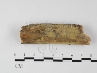 登錄號:F0025578藏品圖，第1張