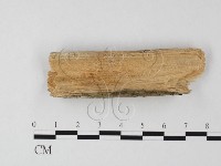 登錄號:F0025578藏品圖，第3張