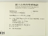 登錄號:F0025580藏品圖，第2張