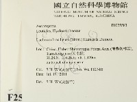 登錄號:F0025583藏品圖，第2張