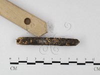 登錄號:F0025583藏品圖，第3張
