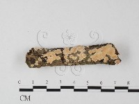 登錄號:F0025586藏品圖，第1張