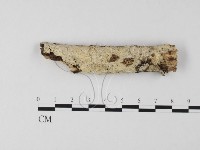 登錄號:F0025589藏品圖，第1張