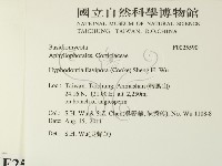 登錄號:F0025590藏品圖，第2張