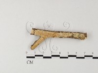 登錄號:F0025590藏品圖，第1張