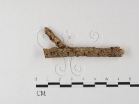 登錄號:F0025590藏品圖，第3張