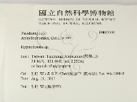 絲齒菌屬藏品圖，第2張