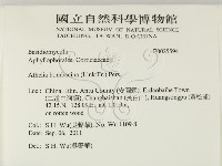 登錄號:F0025594藏品圖，第2張