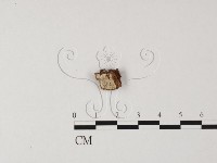 登錄號:F0025594藏品圖，第1張