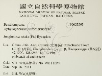 登錄號:F0025595藏品圖，第2張