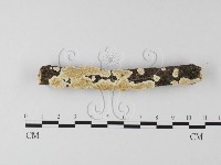 登錄號:F0025596藏品圖，第1張