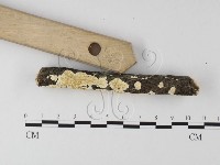 登錄號:F0025596藏品圖，第3張