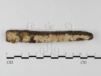 登錄號:F0025597藏品圖，第1張