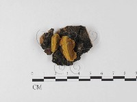 登錄號:F0025602藏品圖，第1張