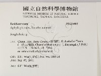 容氏菌屬藏品圖，第2張