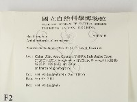 登錄號:F0025605藏品圖，第2張
