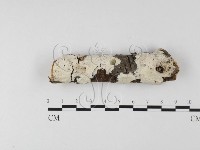 登錄號:F0025605藏品圖，第1張