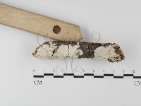 登錄號:F0025605藏品圖，第3張
